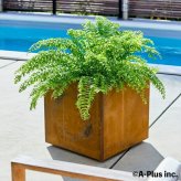 コールテン鋼 高級植木鉢 おしゃれ 大型 スクエア 50cm四方 アンティーク 経年美 Patina スクエアプランターL500 A-PLUS 屋外 観葉植物 多肉植物 サボテン シンボルツリー 寄せ植え 花 鉢カバー 北欧 モダン 玄関 庭 パティナ
