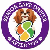 カーサイン 高齢者マーク SENIOR SAFE DRIVER キャバリアキングチャールズスパニエル マグネット 強力 直径13cm 肉球 日本製 車 ステッカー