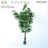 観葉植物 造花 クジャクヤシ BROWN 全高約210cm 大型 フェイクグリーン 高級 本物そっくり リアル おしゃれ インテリア 人工観葉植物 アーティフィシャルグリーン オフィス 店舗 ホテル 開店祝い 室内 リビング 玄関 風水 ヤシの木 フィッシュテールパーム