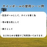 高品質サインボール　ケース付き　人工皮革　コルク芯