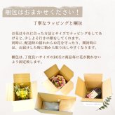 プリザーブドフラワー hanamai  誕生日 花 プレゼント お礼 お祝い 本物 グリーン ナチュラル ギフト メッセージ ガラスドーム 送料無料 お礼 プリザーブド プレゼント おしゃれ リビング インテリア 枯れない花 土日発送 母の日 敬老の日 お中元 お歳暮
