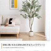【高さ170cm】光触媒人工観葉植物 オリーブ 幅70cm×奥行60cm×高さ170cm オフィス 天然木 ポリエステル 組立品 お部屋に気軽に飾れて空間を美しく彩るフェイクグリーン 本物の植物のようなリアルな質感とインテリアに馴染む風合いが魅力です