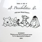 ディズニー プーさん Winnie the pooh ユニバーサルティーポット WH ナチュラルプー ドリップ 丸型 ホワイト  (MCOR)