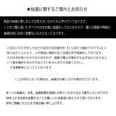 【数量限定401口】Alice アウトドア キャンプくじ vol.8 空くじなし SOTO スノーピーク Anker モンベル NANGA 豪華賞品 抽選 キャンプ用品 福袋