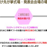 【選べる６色】クリアバルーンヘリウム入 インナーバルーン10個　大き目サイズ50cm
