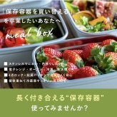 保存容器 0.5L ククナキッチン MEAL BOX ミールボックス ステンレス 電子レンジ対応 オーブン グリル 食洗機 冷凍 冷蔵 4点ロック 抗菌 ニオイ移りしにくい キムチ カレー 作り置き KKN-MO50WH 新生活 ギフト