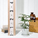 PLANCHU 観葉植物 シェフレラ アルボリコラ ムーンドロップ 3.5号鉢 受け皿付き 育て方説明書付き Schefflera arboricola ‘Moondrop’ ホンコンカポック 斑入り