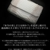 ヒマラヤ スモールクロコダイル ヌメ革 2way バッグ ショルダーバッグ センター取り 一枚革 かぶせ開閉 クラッチバッグ 立ち上がりハンドル A5収納 ミニポケット 希少 本革 メンズ 高級 レザー 鞄 保証書付 プレゼント ギフト 4FA (06002013r)