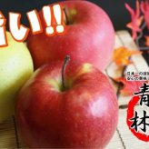 【11月中旬頃発送】蜜入りは１２月末まで　青森県認証 特別栽培農産物 ◆ 甘くておいしい！フォーシーズン 青森りんご 葉とらずサンふじ 家庭用 約１０kg箱