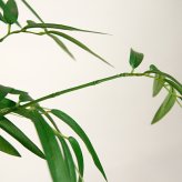 観葉植物 造花 バンブー BROWN 全高約180cm 大型 フェイクグリーン 高級 本物そっくり リアル おしゃれ 和風 和モダン インテリア 人工観葉植物 アーティフィシャルグリーン オフィス 店舗 ホテル 旅館 開店祝い 室内 リビング 玄関 風水 竹 フェイク