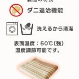洗える 掛敷毛布 セミダブル 大判 ダニ退治 温度調節 掛け敷き毛布 電気毛布 掛け敷き 掛け毛布 敷き毛布 掛敷電気毛布 TEKNOS テクノス EM-8013