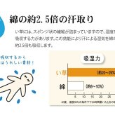 固わた40mm入り い草ごろ寝フリーマット（おやじの場所) 『大和』 約70×150cm
