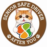 カーサイン 高齢者マーク SENIOR SAFE DRIVER エキゾチックショートヘア マグネット 強力 直径13cm 肉球 日本製 車 ステッカー