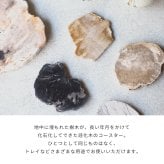 amabro アマブロ WOOD COASTER ウッドコースター 木のコースター 木製コースター 木製 珪化木 村上美術 コースター プレート