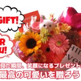 ネコ ねこ 猫入り フラワーアレンジメント 誕生日 デザイナーにおまかせ 生花使用 