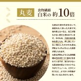 雑穀 雑穀米 国産 麦の恵み24穀米ブレンド【選べる800g~4kg】雑穀米本舗 [丸麦/押麦/はだか麦/もち麦/はとむぎ] 無添加 無着色 徳用サイズ 送料無料