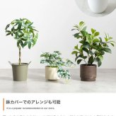 【高さ55cm】光触媒人工観葉植物 パキラ 幅35cm×奥行35cm×高さ55cm コンパクト 天然木 お部屋に気軽に飾れて空間を美しく彩るフェイクグリーン 本物の植物のようなリアルな質感とインテリアに馴染む風合いが魅力です