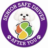 カーサイン 高齢者マーク SENIOR SAFE DRIVER ビションフリーゼ マグネット 強力 直径13cm 肉球 日本製 車 ステッカー
