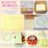 クリスマス生乳アイスケーキ【4～7号】 ［クリスマスケーキ クリスマスデコレーション クリスマスフルーツケーキ］