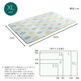 ラグ カーペット マイクロファイバー・デザイン マットXLサイズ（200×300cm）洗える マット 【WASHFA2】 新生活