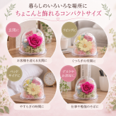 敬老の日 プレゼント プリザーブドフラワー ミニ ドーム バラ ジニア 小 おしゃれ かわいい ピンク イエロー 枯れない花贈答  プレゼント お祝い 誕生日 結婚記念日 母の日 父の日 敬老の日 プチギフト 卒業 退職 送別 入園 コンパクト インテリア お花とハンカチセット