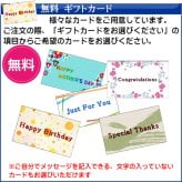【名入れ】【送料無料】 ZIPPO ジッポー ジッポ ライター スタジオジブリ ジッポー 紅の豚　ポルコ（赤）2 アニメ 誕生日 ギフト プレゼント[zNZ-24]