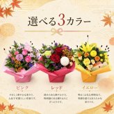 敬老の日 花 アレンジメント 花 選べる色合い 秋のお花 誕生日 秋 送料無料 アレンジメント アレンジ 選べる色合い ラッピング無料 お祝い 誕生日 開業祝い 移転祝い　昇進　就任　還暦　フラワーギフト プレゼント お花のプレゼント