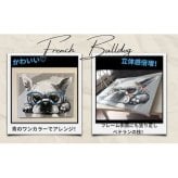 数字塗り絵 大人の塗り絵 ナンバーペイント数字入り 塗り絵 脳トレ 趣味 おうち時間 絵画キット アート 癒し プレゼント 誕生日 母の日 父の日 敬老の日 【無料ラッピング】【送料無料】