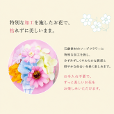 ソープフラワー ポップベース フラワーギフト 花束 おしゃれ インテリア雑貨 枯れない花 誕生日プレゼント 母の日 敬老の日 退職祝い 卒業祝い 入学祝い 結婚祝い 新築祝い 開店祝い お礼 感謝 ギフト 贈り物 ピンク 花のインテリア フラワーアレンジメント かわいい 韓国風 人気 お祝い 記念日 送別会 発表会 プレゼント 贈答品 お花好き 友達 彼女 母親 上品 華やか お部屋の飾り 花飾り