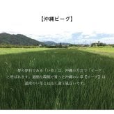 夏ラグ 夏用カーペット 日本製 国産 純国産 沖縄ビーグ ラグ い草 約191×191cm (裏:不織布）