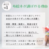 セサミストリート ソフトブック | 絵本 布絵本  エルモ クッキーモンスター 新生児 0歳 1歳児 赤ちゃん ベビー おもちゃ 玩具 知育玩具 仕掛け絵本 音 お出かけ おでかけ カラフル ベビーカー