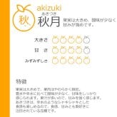 予約販売 いちかわの梨 秋月 3kg 6～9玉 千葉県市川産 梨 なし 和梨 フルーツ 果物 ギフト 贈答用 お中元 暑中見舞い 残暑見舞い お盆 お供え 高級フルーツ 旬の味覚
