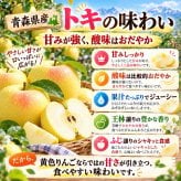 青森県産　りんご　ご家庭用　トキ　９ｋｇ　　送料無料！