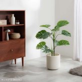 【高さ90cm】光触媒人工観葉植物 モンステラ 幅50cm×奥行50cm×高さ90cm リビング ダイニング 天然木 お部屋に気軽に飾れて空間を美しく彩るフェイクグリーン 本物の植物のようなリアルな質感とインテリアに馴染む風合いが魅力です