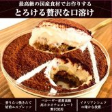 【お得な２種セット】TVで紹介 ティラミスケーキ クリスマス お歳暮 とろけるたっぷりレアティラミス/たっぷりとろけるベリー のレアティラミス ホール お取り寄せ スイーツ ギフト おしゃれ 誕生日 ケーキ バースデー 可愛い 人気 送料無料 プレゼント 洋菓子 ※一部地域地方別追加送料あり