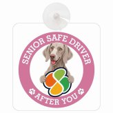 カーサイン 高齢者マーク SENIOR SAFE DRIVER ワイマラナー 車内用 吸盤タイプ 収れん火災防止タイプ 肉球 日本製 車 ステッカー
