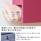 ガーデン エクステリア 新聞受け付き壁掛けポスト Miche ミケ PST-004