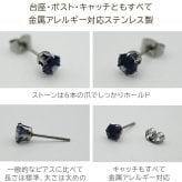 ピアス 金属アレルギー対応 アイオライト 5mm 宝石質 サージカルステンレス つけっぱなし セカンドピアス 品質保証書 ギフト 3月 9月 誕生石 青 紫 天然石 レディース メンズ 片耳用