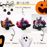 【ハロウィンのラッピングのまま飾れる花束02】スタンディングブーケ 　即日発送　レビューを書いて送料無料　生花 花束 誕生日に 色を選んで 花はおまかせ花束（ブーケ）ラッピングのまま飾れる ラウンドタイプ 生花 花束 ブーケ プレゼント 父の日 誕生日 結婚祝い 記念日 お見舞 送別 新築祝い 母の日 敬老の日 ウエディング テーブル装花 御祝 出産 ホワイトデー お供え お中元 お歳暮