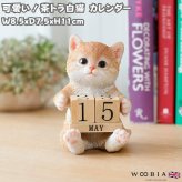 置物 猫 茶トラ白猫 万年カレンダー 高さ11cm woobia ウービア リアル かわいい おしゃれ 玄関 デスク インテリア 卓上カレンダー 日めくり ねこ ネコ 動物 癒し 棚 オフィス 日付 ねこ雑貨 プレゼント ギフト 新築祝い 猫好き