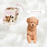 【5種類セット】 ガチャ ガチャガチャ コンプリート 中身 フィギュア おもちゃ かわいい [ いっしょにねんね わんこ ] 犬 イヌ トイプードル ミニチュアダックスフンド コーイケルホンディエ 柴犬 しばいぬ セントバーナード