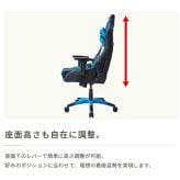 オフィスチェア AKRacing(エーケーレーシング) Pro-X V2 Dragons(中日ドラゴンズモデル) 日本プロ野球 ゲーミング 4Dアジャスタブルアームレスト ヘッドレスト ランバーサポート オフィス Pro-XV2Dragons ウレタン 新生活