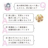御朱印帳 かわいい ネコ 大判 名入れ 【福招き猫】 天然 木 ひのき 木製 ヒノキ 可愛い ねこ キャラクター 表題 袋付き 蛇腹 ギフト プレゼント 誕生日 女性 雑貨 和風 京都 旅行 参拝 観光 書き置き 赤 青 おしゃれ 人気 飛鳥工房【送料無料】