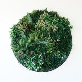 フェイクグリーン 壁掛け 造花 グリーンウォール BROWN ラウンド 100 直径100cm 壁面緑化 屋外 対応 人工観葉植物 アーティフィシャルグリーン グリーンパネル 円形 額縁 おしゃれ リアル 屋外用 店舗 オフィス カフェ 壁面装飾
