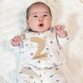 〈 木製カード 12枚セット 〉毎月の月齢フォトに / マンスリー ナンバー 月齢 フォト レター バナー ベビー マタニティ ニューボーン 赤ちゃん 英字 アイテム コミック sns インスタ 映え kawaii 飾り 撮影 小物 出産 かわいい 記念 写真 ギフト 品 準備 成長 記録