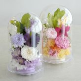 プリザーブドフラワー お供え花 クリアドーム 花あかり｜プリザーブドフラワー お供え花 仏花 クリアドーム 仏壇用 初盆 新盆 四十九日 一回忌 お手入れ簡単 水替え不要 ほこりが入りにくい お悔やみ お彼岸 即日発送 送料無料