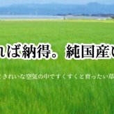 夏ラグ 夏用カーペット 純国産 袋織 い草ラグカーペット 『ＤＸなでしこ』 約191×191cm(裏:不織布）