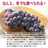 青森県産スチューベンぶどう　秀品（贈答・御歳暮等）　4ｋｇ　送料無料！