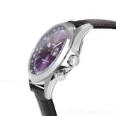 セイコー プロスペックス SEIKO PROSPEX アルピニスト メカニカル 自動巻き セイコー創業145周年記念限定 コアショップ限定 腕時計 江戸紫 HBC006J【2026 新作】