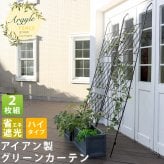 アイアンフェンス アイアン製グリーン アーガイル 2枚組 フェンス アイアン グリーンフェンス ゴーヤ 薔薇 バラ 朝顔 庭 ベランダ ガーデニング 枠 柵 仕切り 目隠し 境目 アンティーク トレリス 園芸 ラティス 屋外 ガーデンフェンス 庭用品 新生活